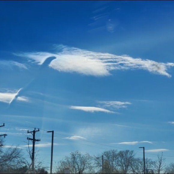 Meet your Posher, Michael - Picture 1 of 1